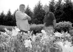 PHOTOS BY FARRAH MAFFAI staff Owner Bob Sickles (l) and Mark Sandstrum, general manager, pause for a moment by the daylilies at Sickles Market, Little Silver.