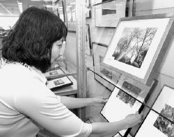 CHRIS KELLY staff Medy Quiroz prepares the photos for her exhibit at the Red Bank Library, Front Street. The show will run until July 22.