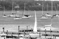 JEFF GRANIT staff Sailboats bob on the surface of the Navesink River in Red Bank last week.
