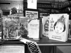 Books that have been challenged are on display at the Monmouth County Library Eastern Branch in Shrewsbury (above) and the Ocean Township Branch (below), reminding library patrons that there are still attempts to remove some books from library shelves.   