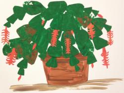  &ldquo;Christmas Cactus&rdquo; 