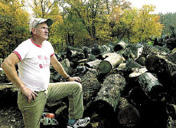 MARIE ORTIZ Michael Ondre rests a hand on a huge wood pile after splitting piles of logs with a chainsaw in East Brunswick. The wood will be sold to homeowners who will use it for heating their homes this winter. 