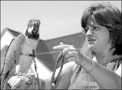 Donna Thoma of Jamesburg walks around the festival with her macaw Baybee.
