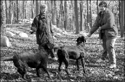 VERONICA YANKOWSKI Patron Leah Holt (r) prepares to toss a ball for playmates Coco and Kelly as Byrdy Sincak looks on in the 1.5-acre Main Dog Park area at the Rocky Top Dog Park in South Brunswick.