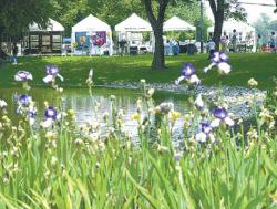 VERONICA YANKOWSKI The East Brunswick municipal complex became home to more than 100 painters, photographers and other artists for Saturday&rsquo;s Visual Arts Celebration 2003.