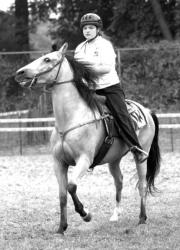 A member of the  4-H Club participates in a horse show at last year&rsquo;s  Middlesex County Fair.