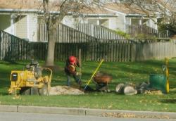 MICHAEL ACKER A worker fills in a hole where a tree was removed last week in the Timber Hollow development, off Evergreen Boulevard in East Brunswick. 