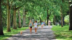  A trail at Allaire State Park in Wall Township is well-traveled on a recent afternoon. 