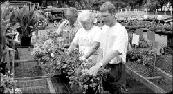 JERRY WOLKOWITZ  Don, Kathy and Alan Patterson (l-r) place plants out for sale on their Howell farm. Farmers and landowners say a proposed rezoning ordinance could negatively affect the equity in their property. The proposal would reduce the number of homes that could be built in certain areas of Howell from one home per 1 and 2 acres to one home per 6 acres. See related story, page 20.