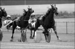 Freehold Raceway&rsquo;s summer/fall season got under way Friday with a full schedule of races.
