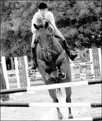 SARAH McCOLGAN  Whitney McCaslin of Colts Neck guides her horse over an obstacle while competing at the Monmouth County Horse Show on Aug. 17 in Freehold Township.