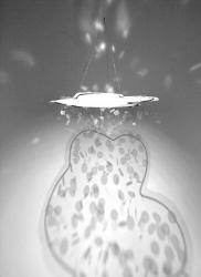 &ldquo;Cloud&rdquo; by Marilla Palmer 