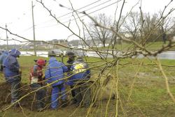 JEFF GRANIT staff Boy Scouts from Troop 18 and Troop 155 turned out in very wet weather on April 4 to plant trees along Wemrock Road, Freehold Township, as part of an environmental initiative in the community. For more on the project, see page 41.