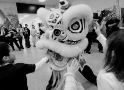 ERIC SUCAR staff Guests at the 2008 Marlboro Chinese New Year celebration watch a member of the New York Hung Sing Kwoon Lion Dance Team perform at Marlboro High School on March 8. The event included cultural exhibits, vendors and performances of music and dance. 