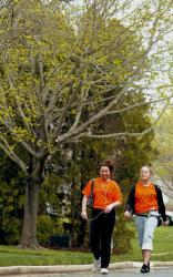 CHRIS KELLY staff Rebecca Pivnick, 16, and Jen Post, 17, stroll along a street in Freehold Township on April 13 as they participate in the 2008 Walk MS fundraiser. The event benefits individuals and their families who are living with multiple sclerosis. This year's Freehold area walk began and ended at CentraState Medical Center, West Main Street, Freehold Township. 