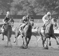 Above: Jockey Kent Desormeaux and Big Brown (right) lead the early action in the 2008 $1 million Haskell Invitational at Monmouth Park Racetrack in Oceanport on Aug. 3. Below: Desormeaux holds the winner's trophy from the race. Earlier in the year, Desormeaux led the horse to victories at the Kentucky Derby and Preakness Stakes before falling short at the Belmont Stakes in New York. Over 45,000 fans turned out for the day's 14 races. The prize horse finished the race in 1:48 1/5 and paid $2.40, $2.10, and $2.10 as a huge favorite. Coal Play, with odds of 20-1, placed in the runnerup spot, paying $8.00 to place and $4.20 to show. Cool Coal Man paid $2.80 to show. The Haskell Invitational brought in a record $4,257,409. 